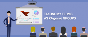 /taxonomy-in-organic-terms